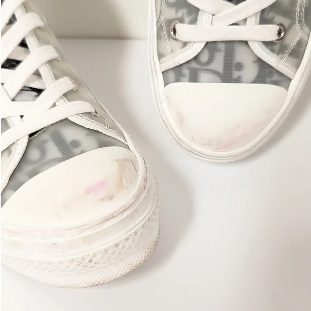 Dior b23 oblique